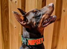 Load image into Gallery viewer, 2.0 Collar