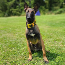 Load image into Gallery viewer, 2.0 Collar