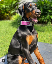 Load image into Gallery viewer, 2.0 Collar