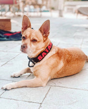 Load image into Gallery viewer, Patch 1.0