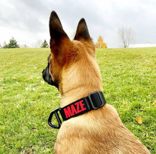 Load image into Gallery viewer, 1.0 Collar