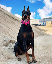 Load image into Gallery viewer, 2.0 Collar