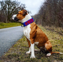 Load image into Gallery viewer, 2.0 Collar