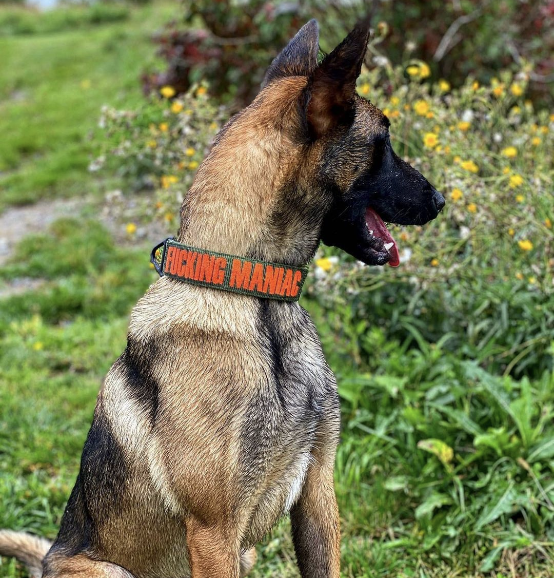 首輪・ハーネス・リード SUPREME DogCollar Supreme 犬用首輪 牽引ロープ 2点セット シュプリーム ドッグ用