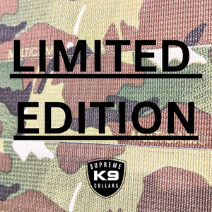 2.0 CAMO